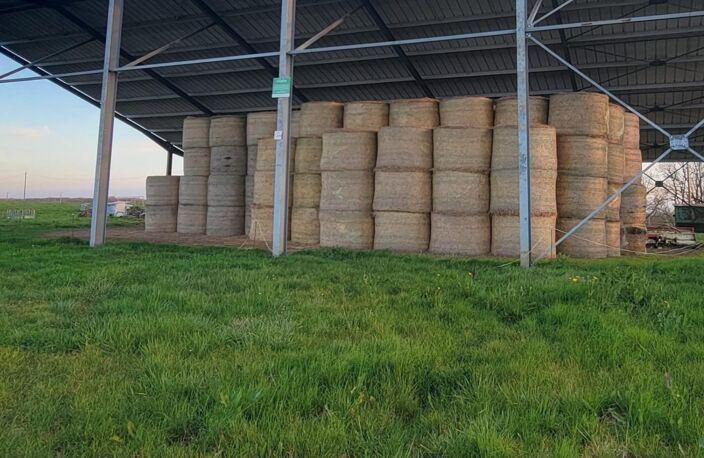 Exploitation agricole 18 ha stabulation de 1247 m² — photo 3