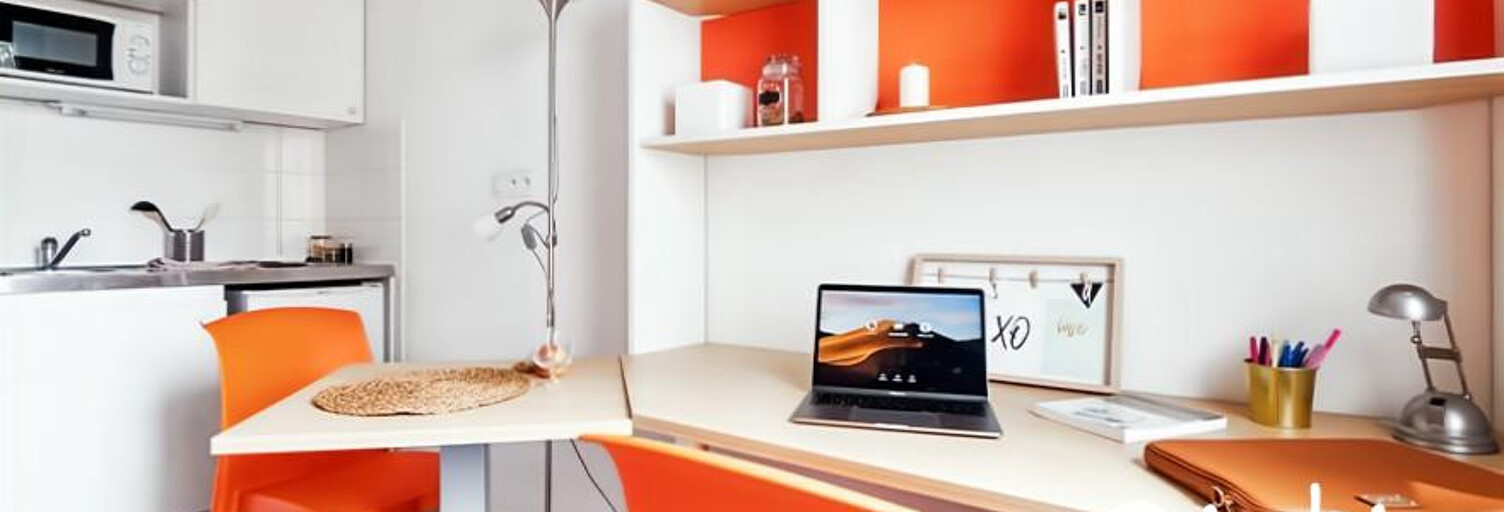 Appartement 1 Pièce 20 m² à vendre à Lyon 7 (69007)