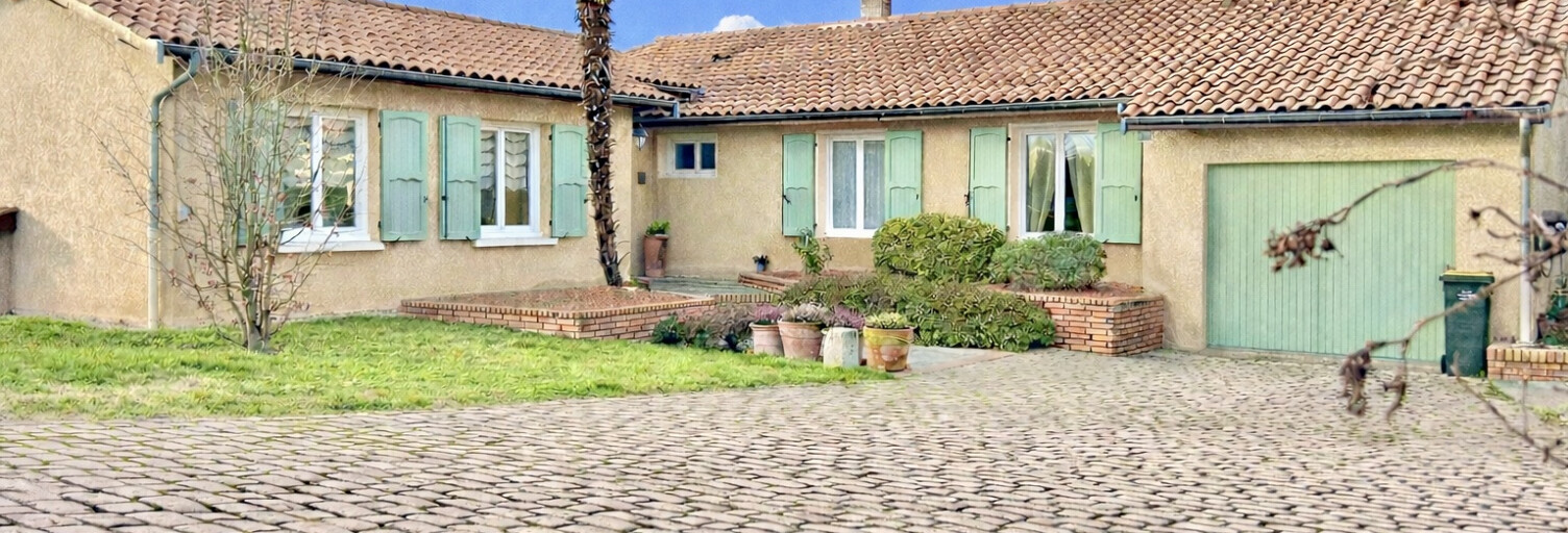 Commerce  160 m² à vendre à Charly (69390)