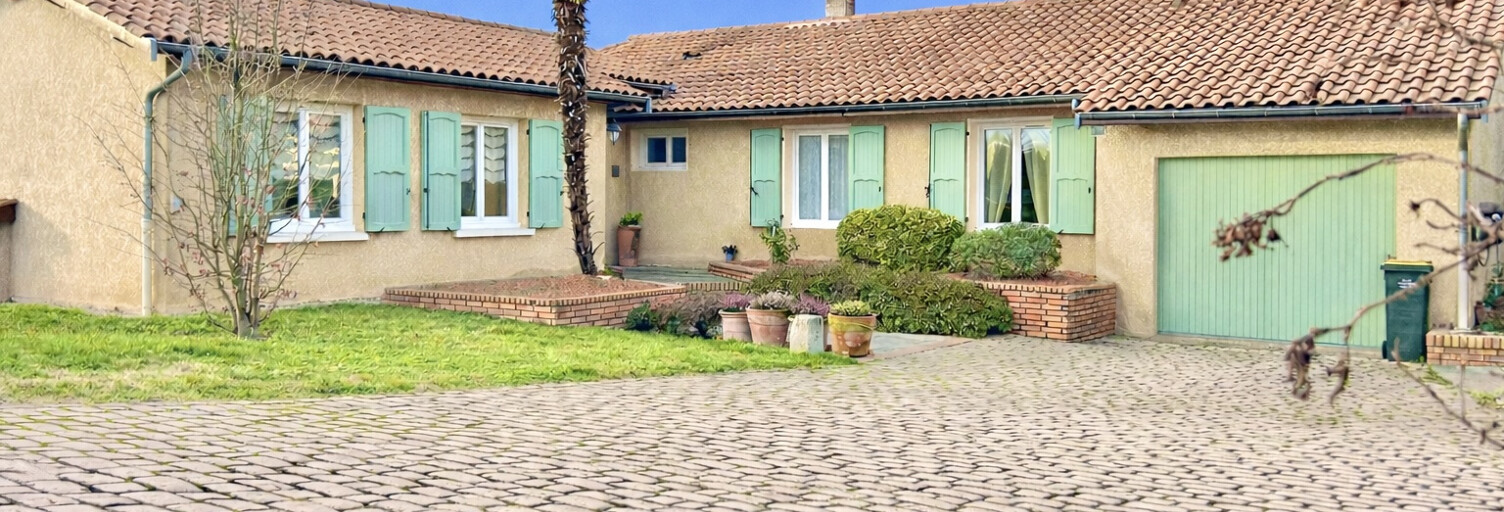 Commerce  160 m² à vendre à Charly (69390)