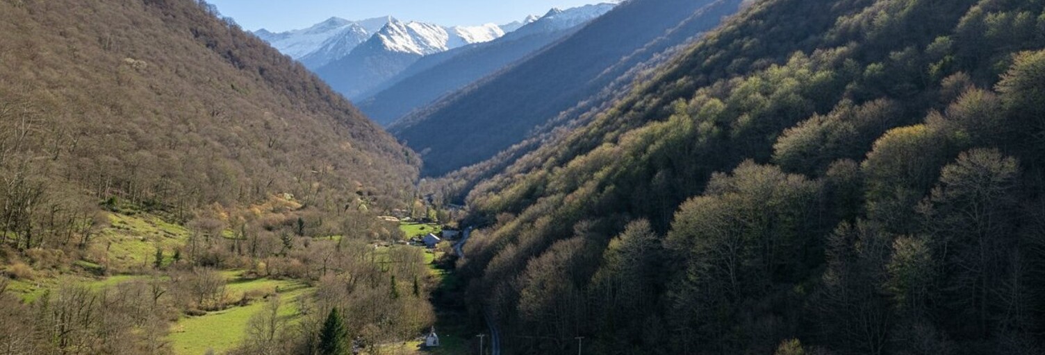 Terrain  20345 m² à vendre à Aucazein (09800)