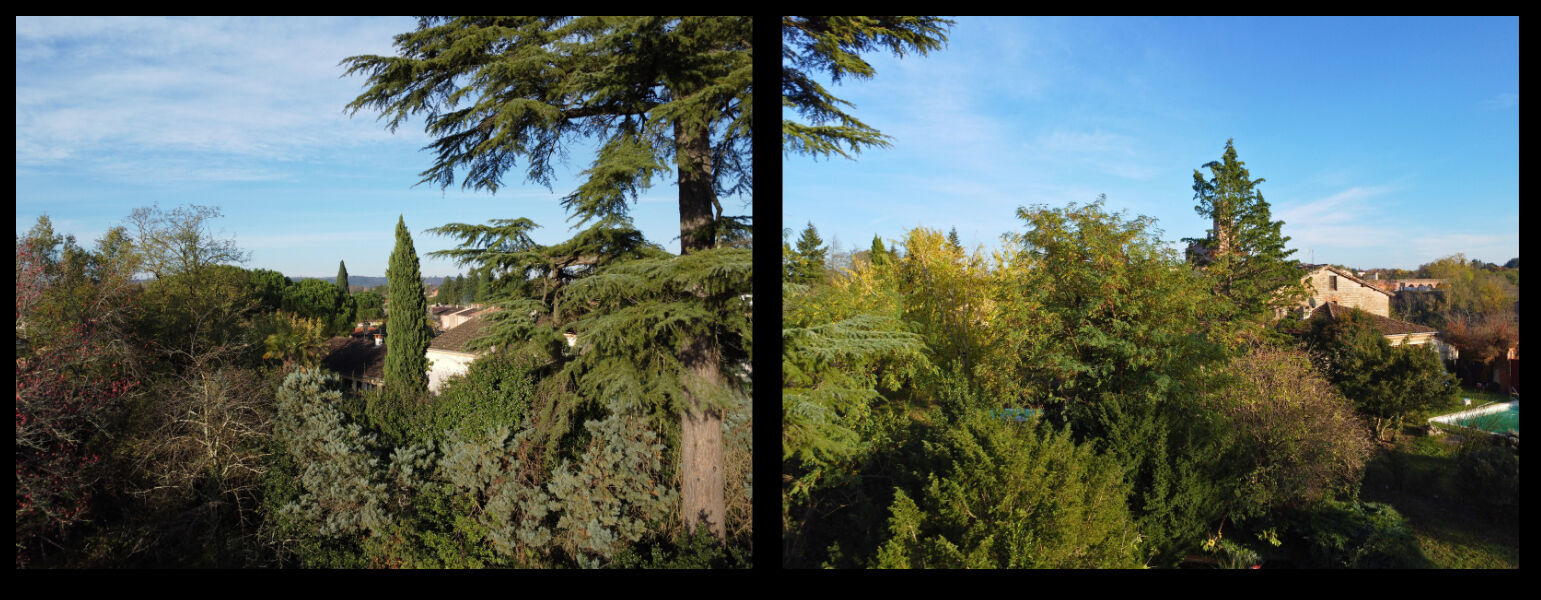 Appartement  T2 à vendre Albi 81000