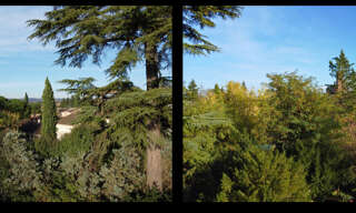 Appartement 2 Pièces 41 m² à vendre à Albi (81000)