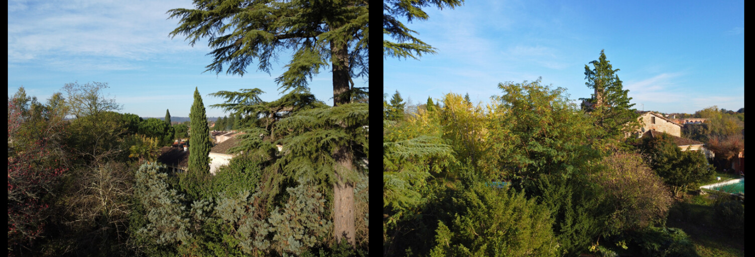 Appartement 2 Pièces 41 m² à vendre à Albi (81000)