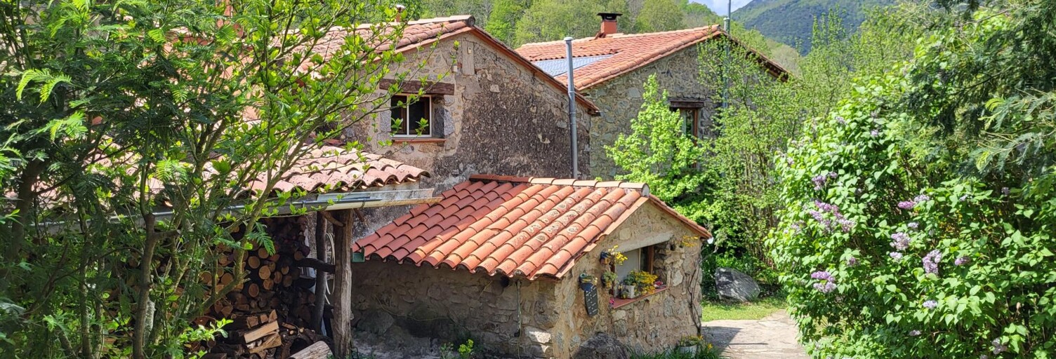 Maison 12 Pièces 300 m² à vendre à Saint-Laurent-de-Cerdans (66260)
