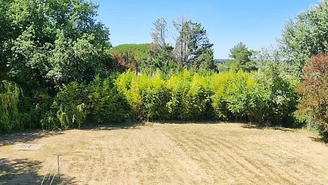 Terrain  à vendre Saint-Sulpice-de-Royan 17200