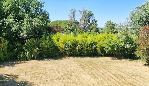 Terrain  à vendre Saint-Sulpice-de-Royan 17200