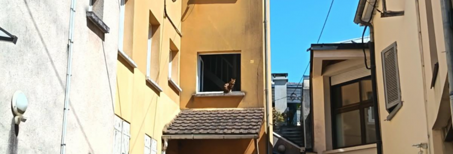 Appartement 1 Pièce 31 m² à vendre à Verrières-le-Buisson (91370)