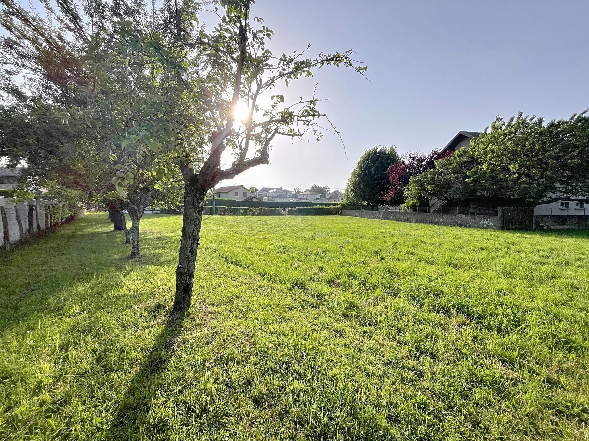 Terrain  à vendre Maubec 38300