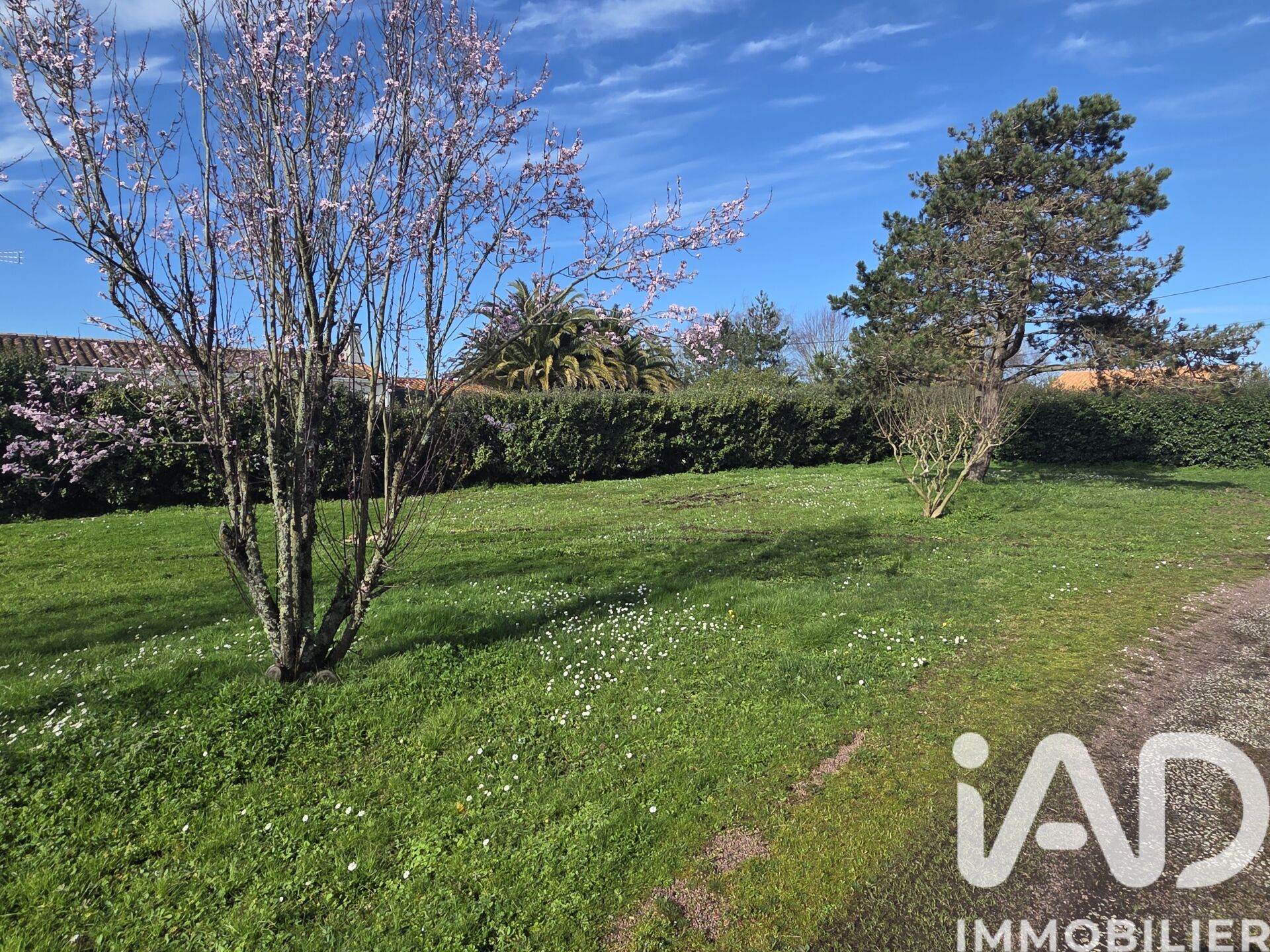 Le-Chateau-D-Oleron - 500m²