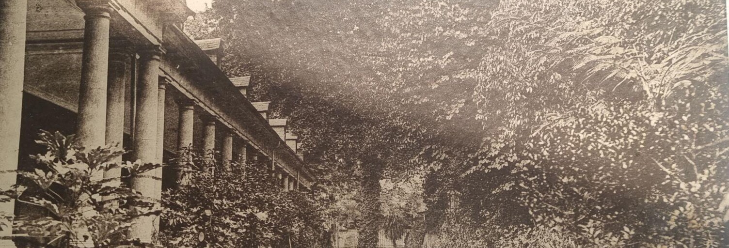 Commerce  338 m² à vendre à Tarbes (65000)