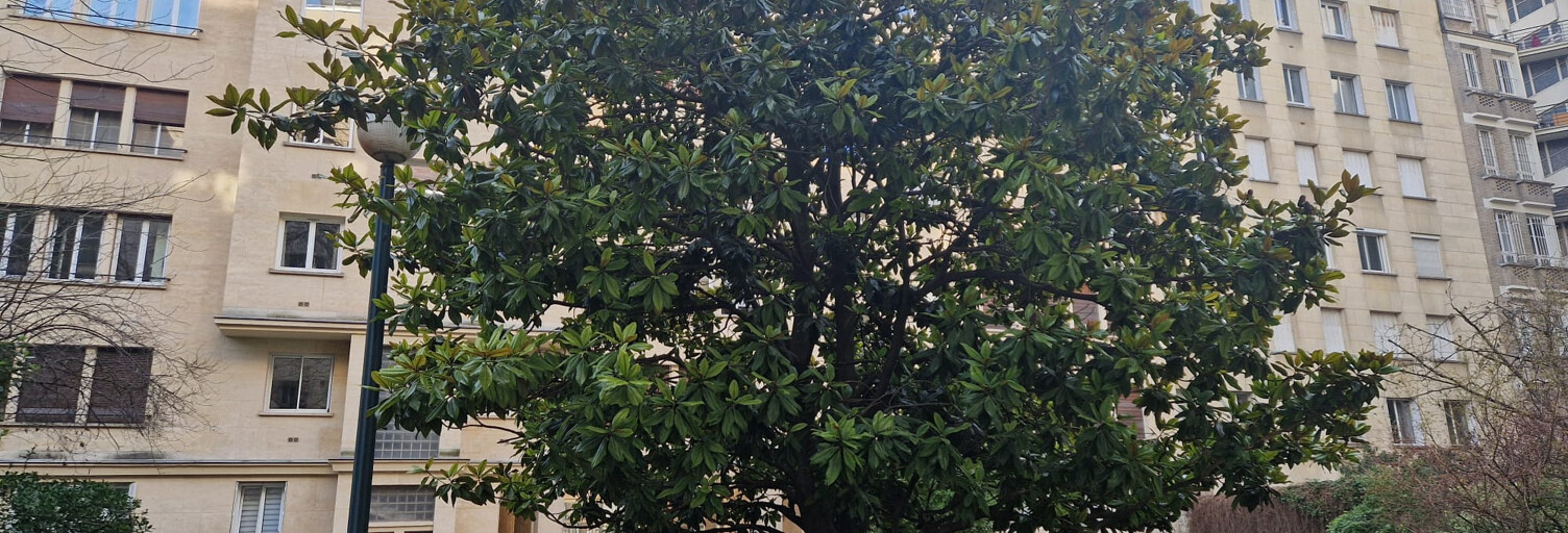 Appartement 1 Pièce 11 m² à vendre à Paris 16 (75016)