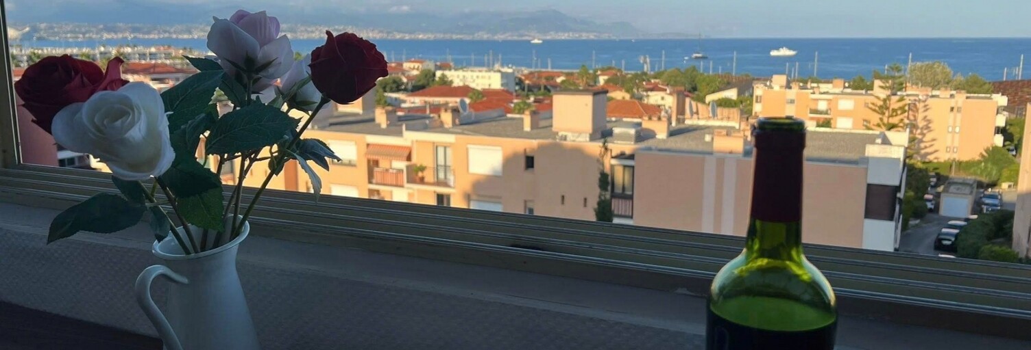 Appartement 2 Pièces 27 m² à vendre à Antibes (06600)