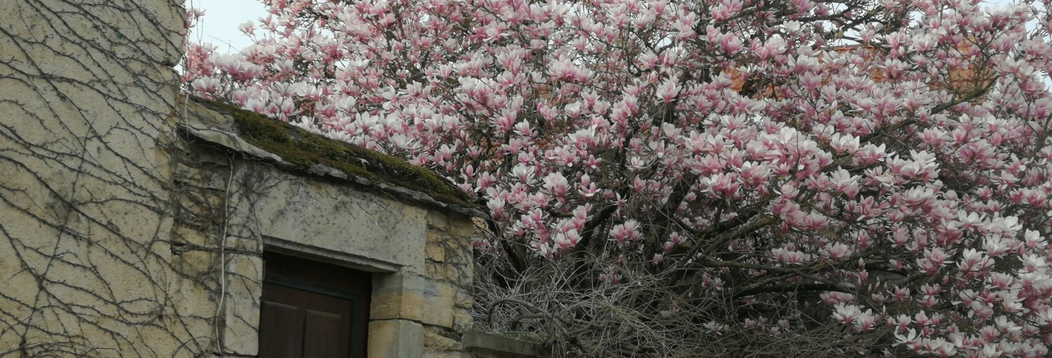 Divers 10 Pièces 213 m² à vendre à Cusey (52190)