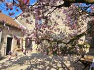 Vente Maison/villa 10 pièces — photo 4