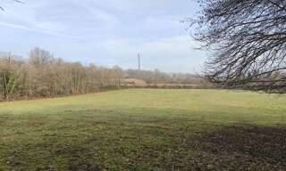 Commerce  26101 m² à louer à Angervilliers (91470)