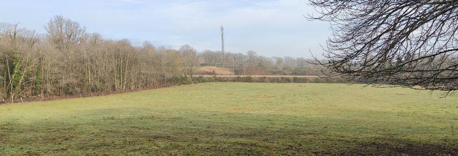 Commerce  26101 m² à louer à Angervilliers (91470)