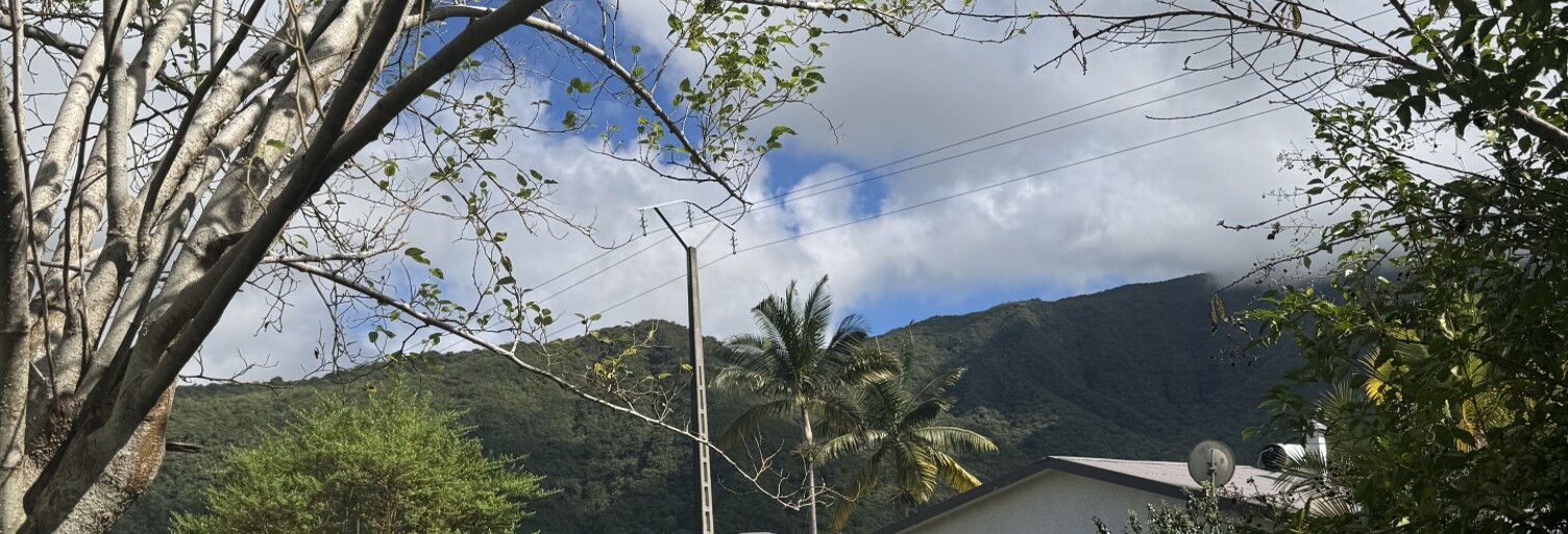 Photo N° 2