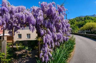 Maison 5 pièces 289000 €