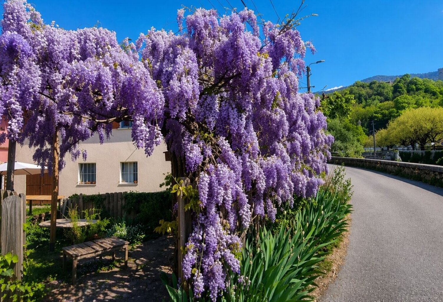 Vente Maison de ville 5 pièces — photo 1