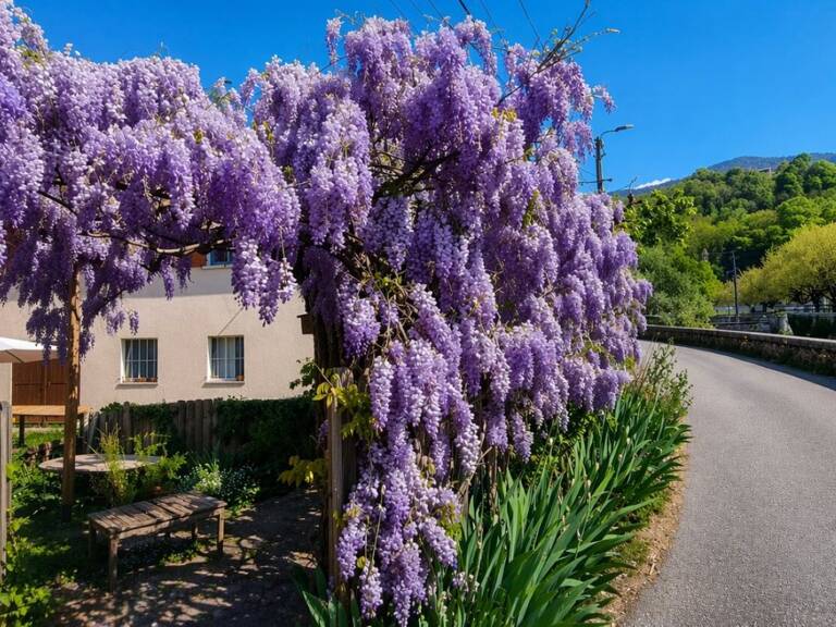 Vente Maison de ville 5 pièces — photo 1