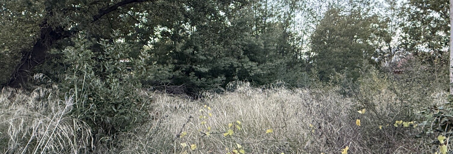 Terrain  803 m² à vendre à Canohès (66680)