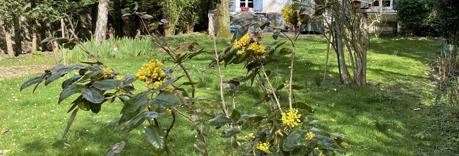 Maison 5 Pièces 150 m² à vendre à Draveil (91210)