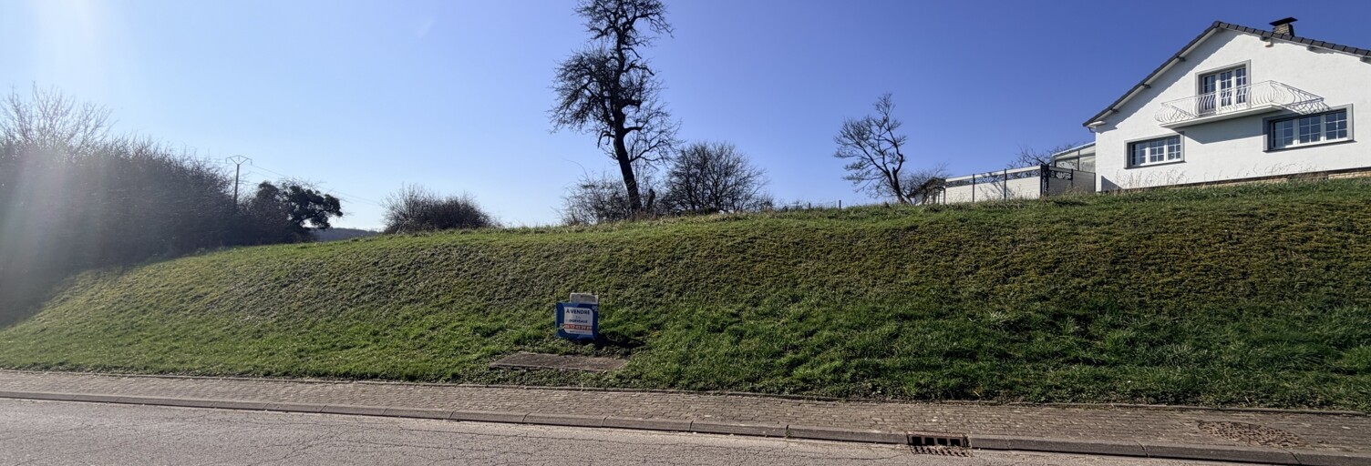 Terrain  4000 m² à vendre à Bibiche (57320)