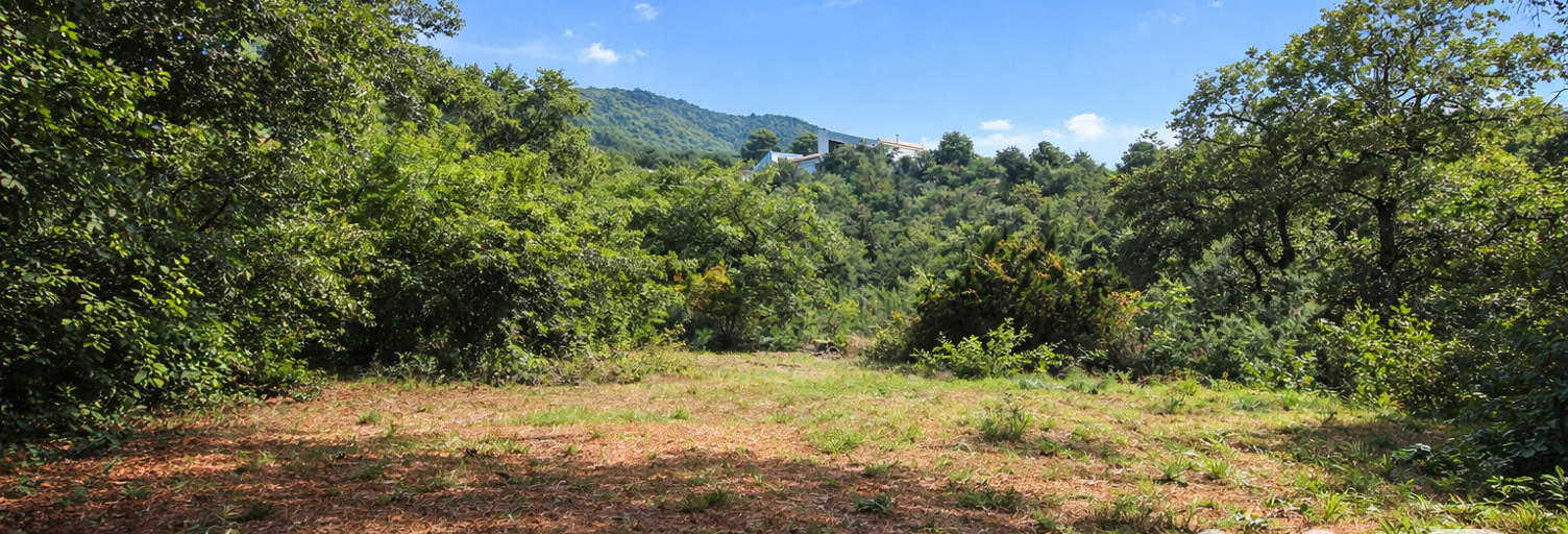 Terrain  1831 m² à vendre à Montesquieu-des-Albères (66740)