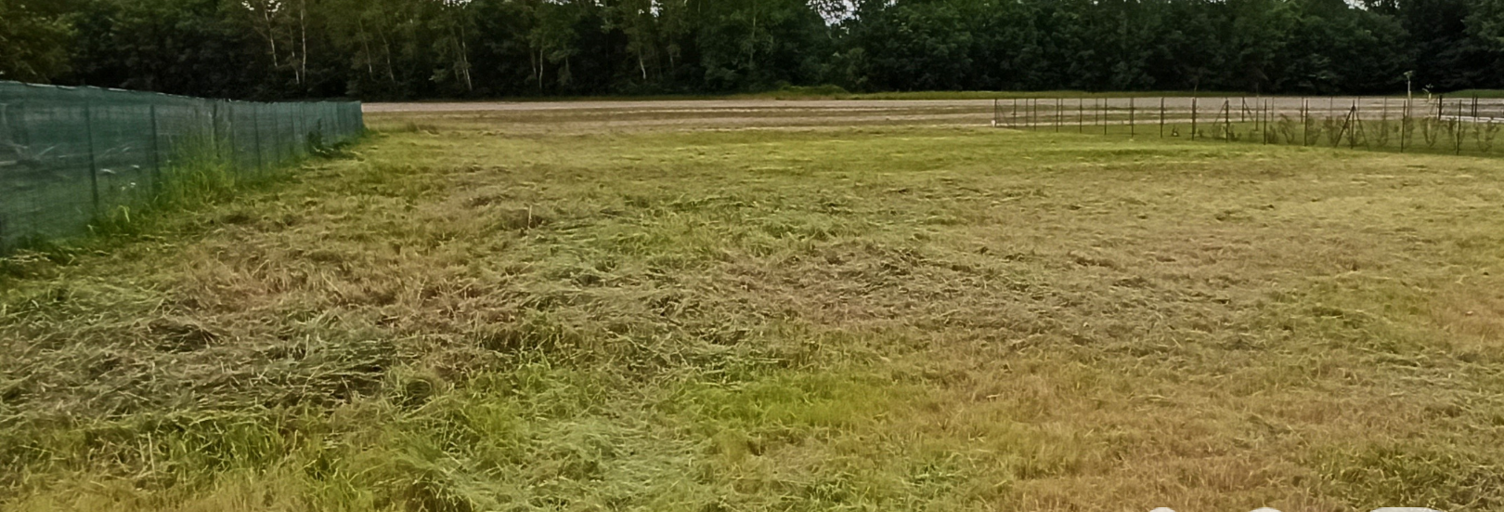 Terrain  1301 m² à vendre à Saint-Médard (17500)