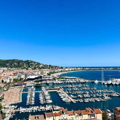 Commerce  784000 €