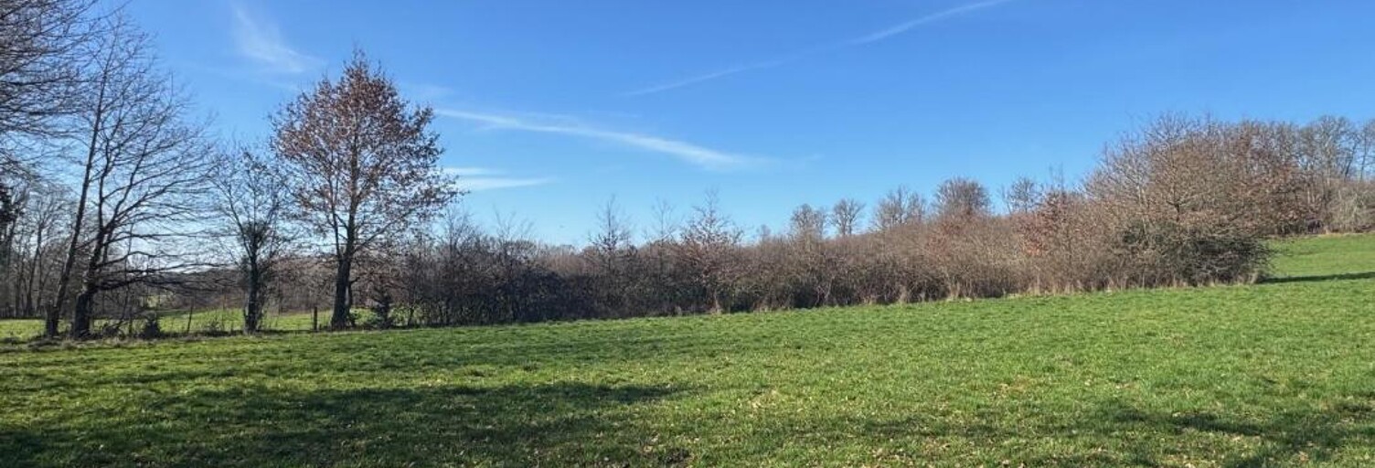 Terrain  16270 m² à vendre à Rilhac-Treignac (19260)