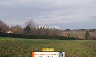 Terrain  8015 m² à vendre à La Geneytouse (87400)