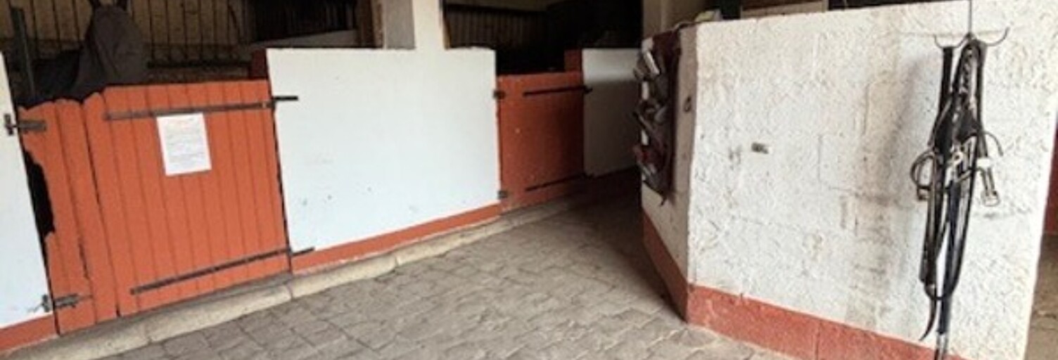 Commerce 10 Pièces 211 m² à vendre à Châteauneuf-en-Thymerais (28170)