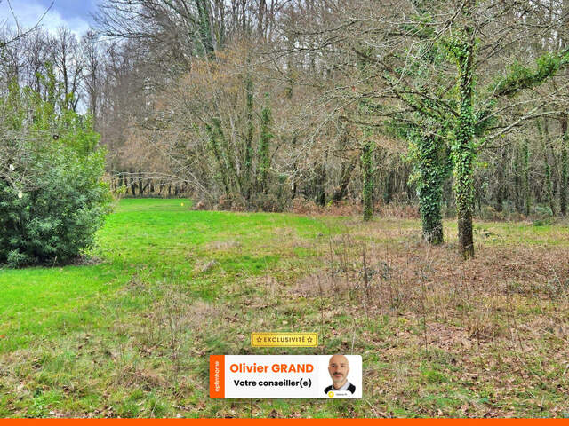 TERRAIN 1200M² - ENVIRONNEMENT CAMPAGNE ET BOISE — photo du bien