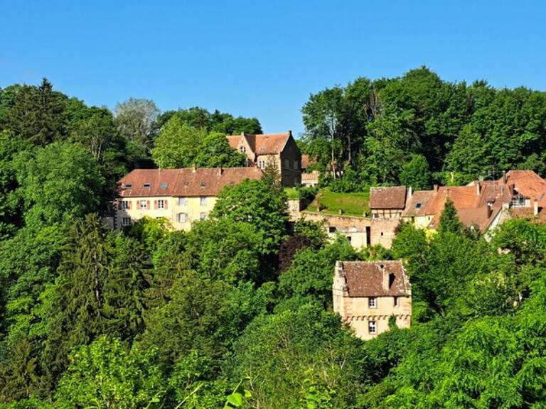 Immeuble à vendre LA PETITE PIERRE (67) — photo 1