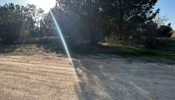 Terrain  à vendre Perpignan 66000