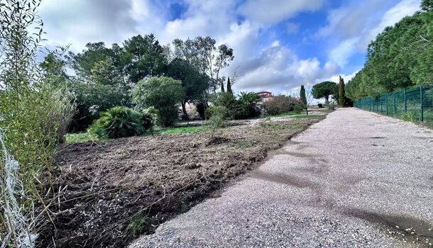 Terrain  à vendre Perpignan 66000