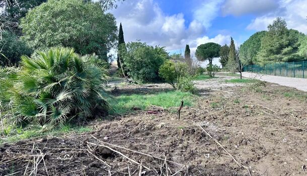 Terrain  à vendre Perpignan 66000