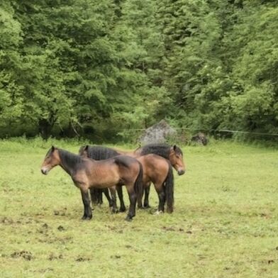 Maison 4 pièces 286500 €