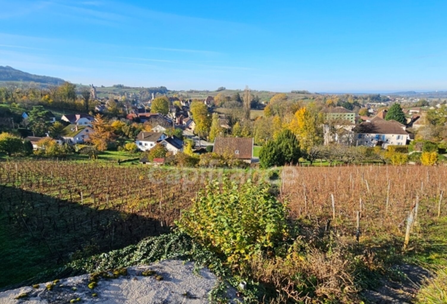 Terrain à bâtir de 1500 m2 à vendre avec vue panoramique sur ARBOIS  (39600) — photo 1