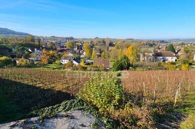 Terrain  65000 €