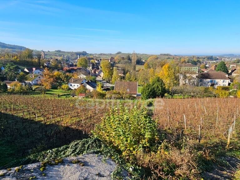 Terrain à bâtir de 1500 m2 à vendre avec vue panoramique sur ARBOIS  (39600) — photo 1