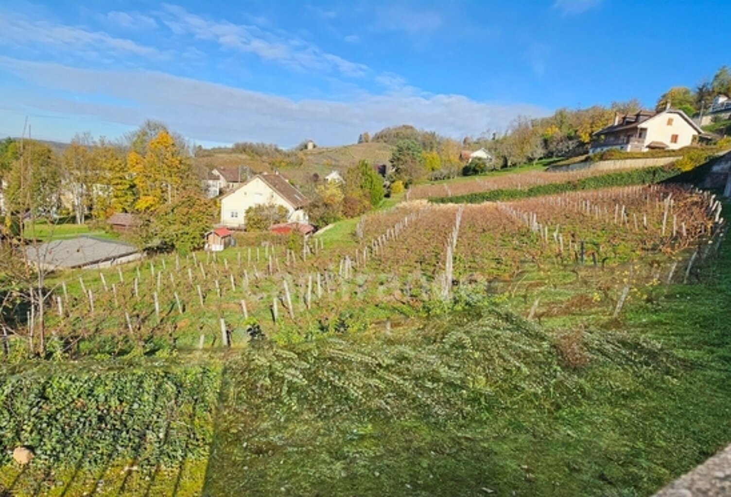 Votre future maison - Arbois (39600) : terrain de 3000m2 avec vue dominante et exposition idéale — photo 1