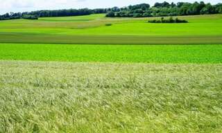 Terrain  680 m² à vendre à La Frette-sur-Seine (95530)