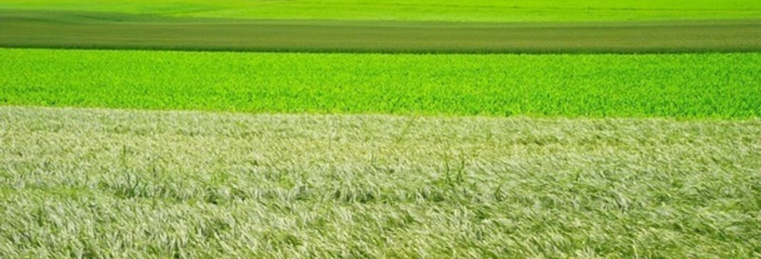 Terrain  680 m² à vendre à La Frette-sur-Seine (95530)