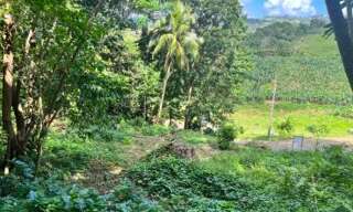 Terrain  500 m² à vendre à Le Lamentin (97232)