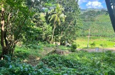Terrain de 500 m² À Vendre à Le LAMENTIN — photo du bien