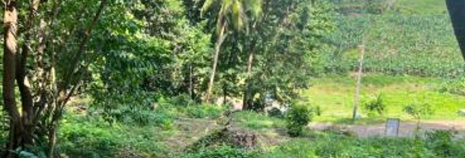 Terrain  500 m² à vendre à Le Lamentin (97232)