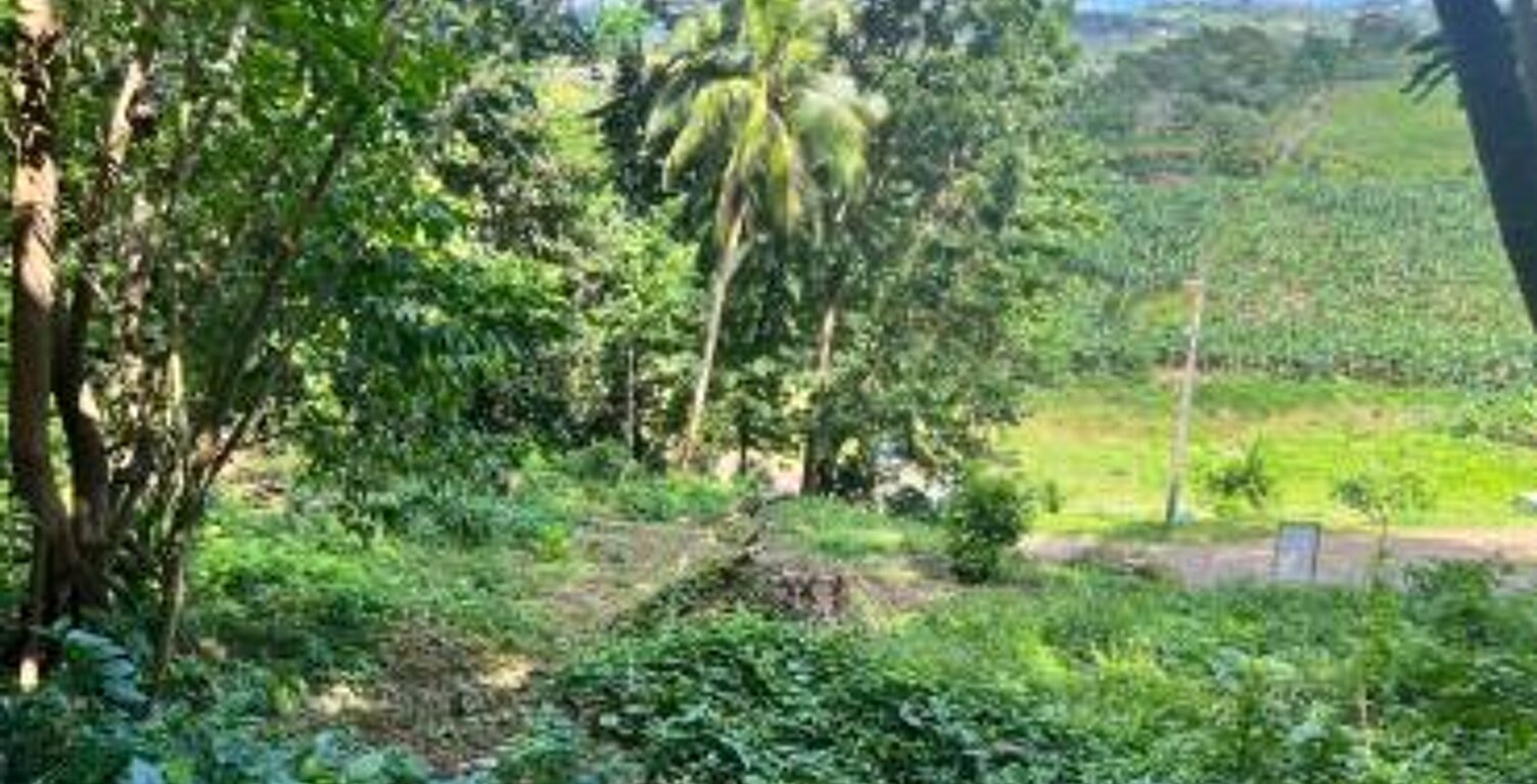 Terrain de 500 m² À Vendre à Le LAMENTIN — photo 1